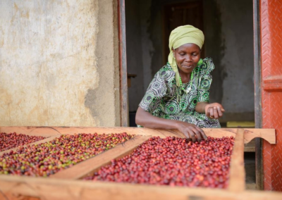 Eerlijkere prijzen voor koffieboeren in Oeganda